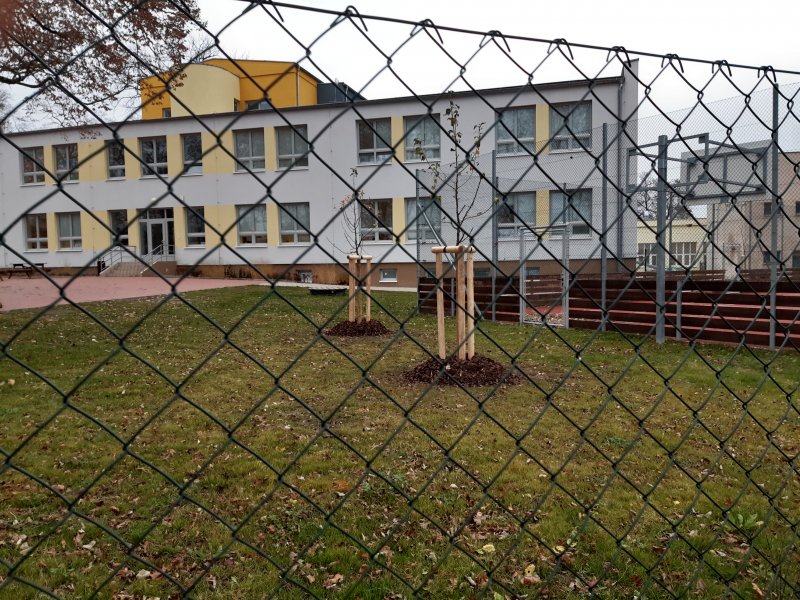 „Školní zahrada, Český Brod“